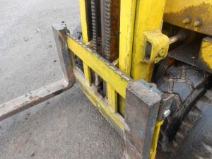 C:\fakepath\DSCN5478