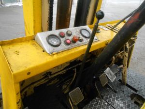 C:\fakepath\DSCN5480