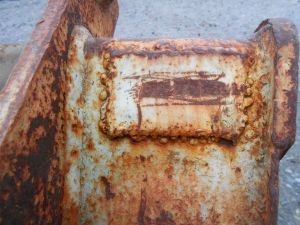 C:\fakepath\DSCN5851