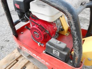 C:\fakepath\DSCN6977