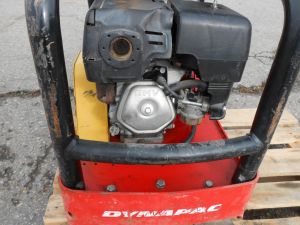 C:\fakepath\DSCN6978