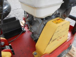 C:\fakepath\DSCN6979