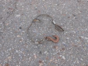 C:\fakepath\DSCN7207