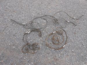 C:\fakepath\DSCN7208