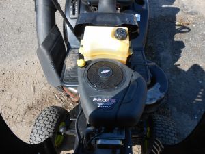 C:\fakepath\DSCN7459