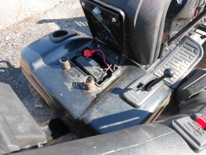 C:\fakepath\DSCN7461