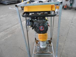 C:\fakepath\DSCN7644