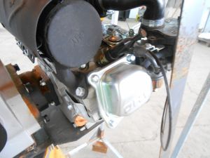 C:\fakepath\DSCN7647