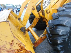 C:\fakepath\DSCN7748