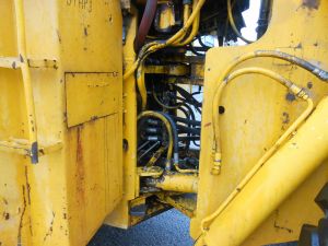 C:\fakepath\DSCN7751