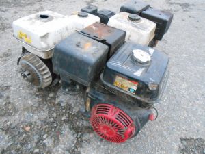 C:\fakepath\DSCN8158