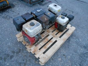 C:\fakepath\DSCN8195