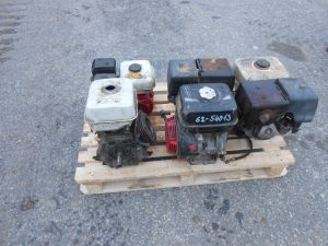 C:\fakepath\DSCN8196