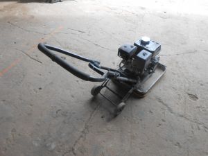 C:\fakepath\DSCN3987