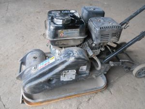 C:\fakepath\DSCN3988