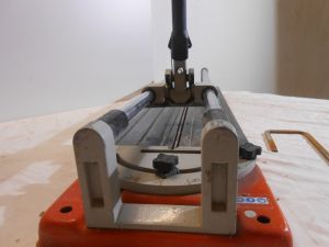 C:\fakepath\DSCN3717