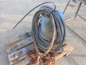 C:\fakepath\DSCN4321