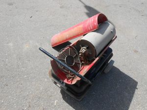 C:\fakepath\DSCN4397