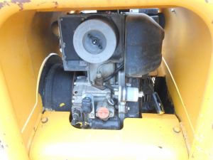 C:\fakepath\DSCN4888