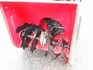 C:\fakepath\DSCN4825