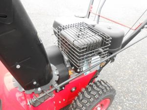 C:\fakepath\DSCN4826