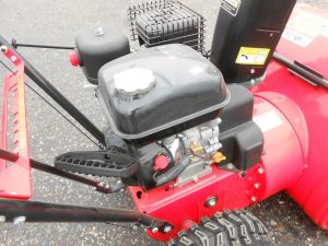 C:\fakepath\DSCN4827