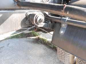 C:\fakepath\DSCN5036