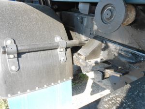 C:\fakepath\DSCN5037