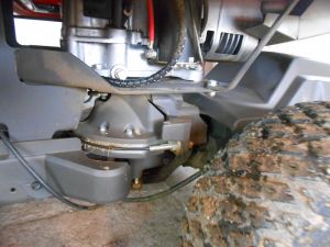 C:\fakepath\DSCN4234