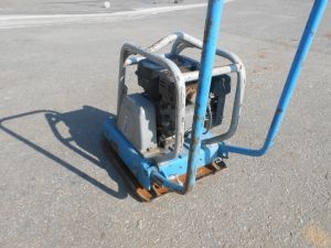 C:\fakepath\DSCN5060