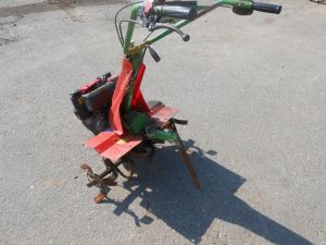 C:\fakepath\DSCN5066