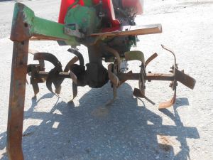 C:\fakepath\DSCN5069