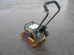 C:\fakepath\DSCN5392