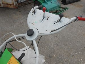 C:\fakepath\DSCN5643