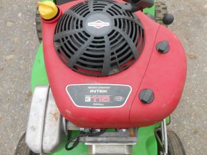 C:\fakepath\DSCN5645