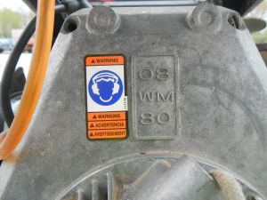 C:\fakepath\DSCN5685