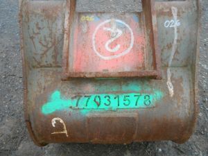 C:\fakepath\DSCN5856