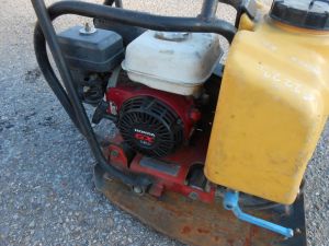 C:\fakepath\DSCN6445