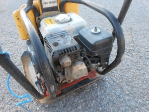 C:\fakepath\DSCN6446