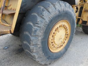 C:\fakepath\dscn6481