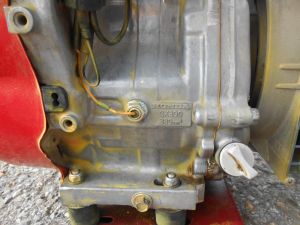 C:\fakepath\DSCN6986