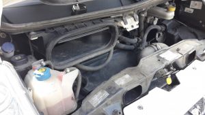 C:\fakepath\20170918 120311