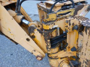 C:\fakepath\DSCN7144