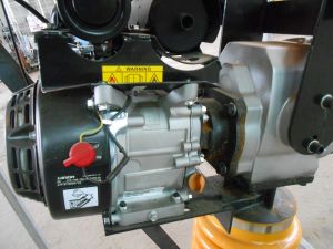 C:\fakepath\DSCN7655