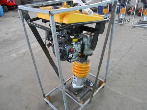 C:\fakepath\DSCN7656