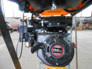 C:\fakepath\DSCN7657