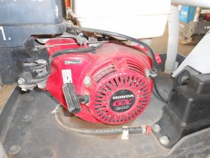 C:\fakepath\DSCN7267