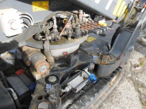 C:\fakepath\DSCN7879