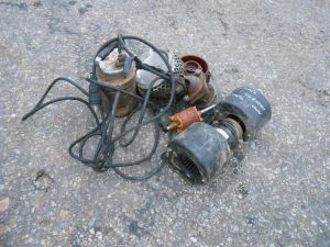 C:\fakepath\DSCN8167