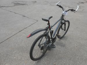 C:\fakepath\DSCN3913